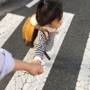 정성면가 이미지