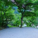 진틀펜션캠핑장 이미지