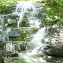 발교산 산장 이미지