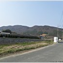 이전천 Daum카페