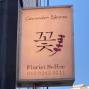 라벤더블룸 이미지