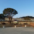 서원초등학교병설유치원 이미지