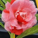 환주농장 이미지