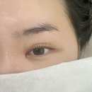 황고개로 | 시흥 거모동 속눈썹 '아이비니 뷰티' 속눈썹 틴팅펌 후기 신길동 거모동 속눈썹 추천