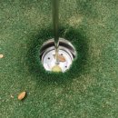 서남물파크골프장 이미지