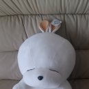 통큰인형뽑기 이미지