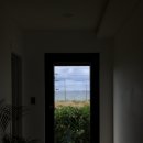 판포보름 | 제주도 오션뷰 숙소 판포보름 1박 후기