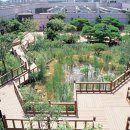 (주)롯데쇼핑일산점