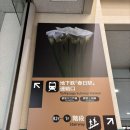 11650-16-111-8 | 8박 9일 도쿄쿄 🤭 | DAY 5-6