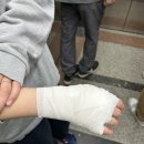 새솔외과의원 이미지