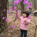 새롬 - 부평구 마장로 456 | 새롬