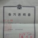 곡성-221 Daum카페