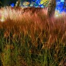 운산목장 | 서산 운산 초원뷰 대형카페_ 서산 목장카페