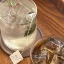 앨리스 플스방 이미지