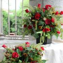 스타일큐브 이미지