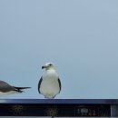 파도소리 펜션 이미지