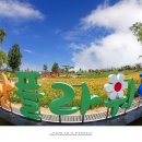 플라워21 이미지