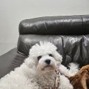 바우스쿨 이미지