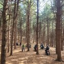 씨에프 | CFMOTO 라이더 대상 오프로드 기초교육 1회차 후기, 씨에프모토 일산