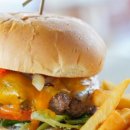 스톤 하와이 이미지