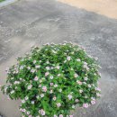 반계경로당 이미지