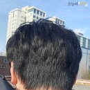 혜성이용원 - 단양군 | 요즘 남자들은 바버샵을간다며? 장위동 남자 머리 잘 자르는 <쏘울바버샵>에서 커트