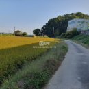 팜공인중개사사무소 이미지