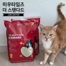 더스탠다드 | 고양이모래 추천 미우타임즈 더 스탠다드 벤토나이트 사용 후기