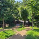 모당공원 화장실 이미지