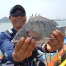 갯바위펜션 이미지