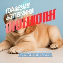 양수하나로약국 네이버블로그