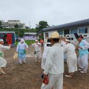 함안 강주 해바라기 축제에서 이미지