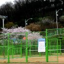 승학체육공원 이미지