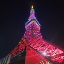 도쿄 여행에서 야경을 감상 추천 전망대5곳 이미지