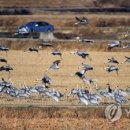 주남영농조합법인 이미지