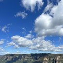 사다새 | 호주 신혼여행 Day 8, 시드니