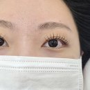 군산 속눈썹펌 연장 다 마음에 쏙 든 '시선바이은' LED 펌포인트 후기