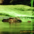 진흥종합카부분정비업 | 전문휴양업, 종합휴양업의 등록기준 및 관광기금 신청하기