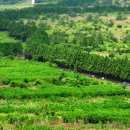 소유목장 이미지