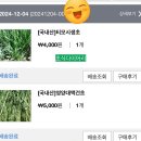 티모시 건초 추천 토끼 대맥 건초 연맥 건초 그린피드