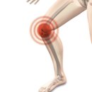 헬스가이드 이미지