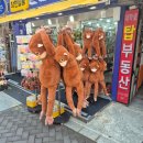 애모노래방 | 하아아아암