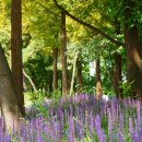 행복누리공원 이미지