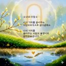 나의다짐 이미지