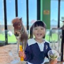 유성마을버스㈜ | 대전 아이와 가볼만한 곳 봉산동 실내 동물원 애니멀스타 방문 후기