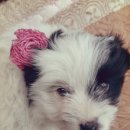 멍스토리 이미지