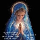 사필귀정(事必歸正) 되돌아오는 마음 이미지