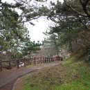 제주항식당 이미지