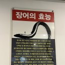 이천 비타민 하우스