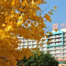 스파캐슬 이미지